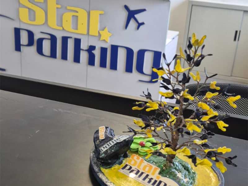 Star Parking - Aeroporto Malpensa Insegna Star Parking - Aeroporto Malpensa